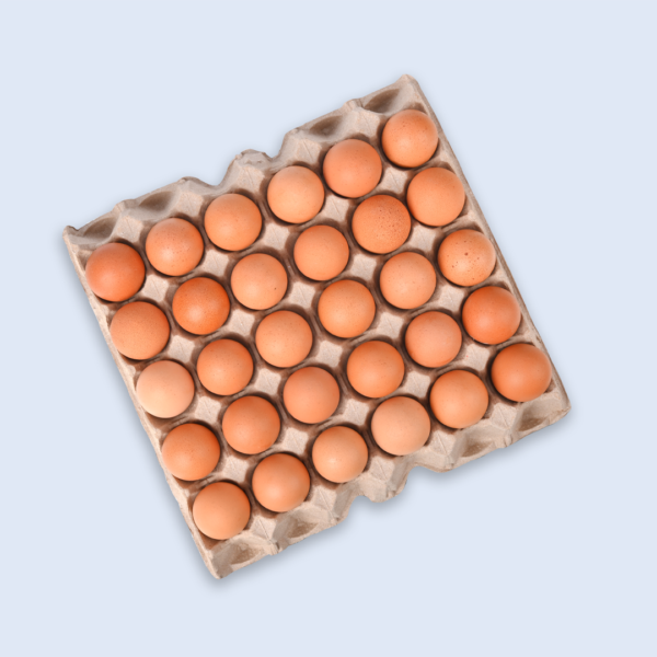 SR's Brown Eggs Pack of 30